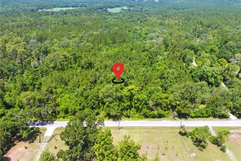 Land in Brooksville, Florida № 1725016 - photo 10