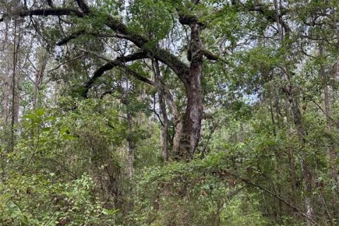 Land in Brooksville, Florida № 1725016 - photo 5