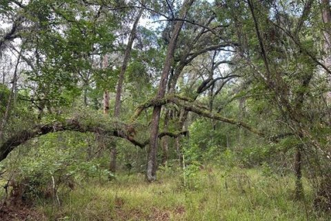 Land in Brooksville, Florida № 1725016 - photo 6