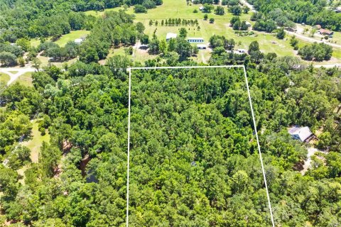 Land in Brooksville, Florida № 1725016 - photo 12