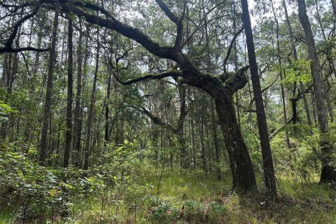 Land in Brooksville, Florida № 1725016 - photo 2