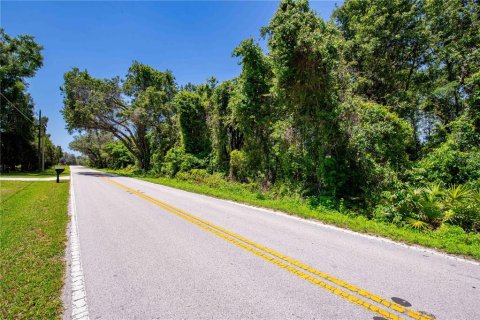 Land in Brooksville, Florida № 1725016 - photo 14