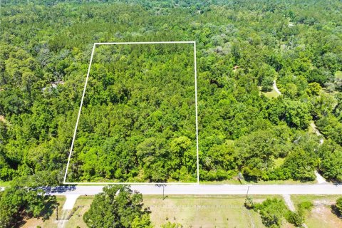 Land in Brooksville, Florida № 1725016 - photo 1