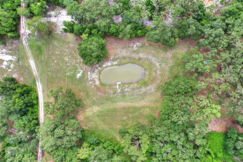 Terreno en venta en Bushnell, Florida № 1774628 - foto 14