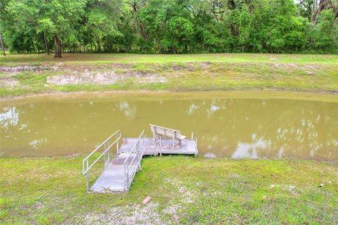 Land in Bushnell, Florida № 1774628 - photo 20