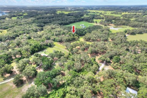 Terrain à vendre à Bushnell, Floride № 1774628 - photo 3