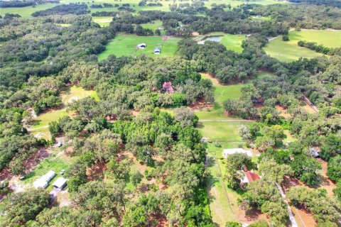 Terrain à vendre à Bushnell, Floride № 1774628 - photo 2