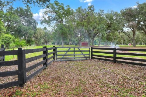 Terrain à vendre à Bushnell, Floride № 1774628 - photo 24
