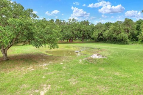 Terrain à vendre à Bushnell, Floride № 1774628 - photo 22