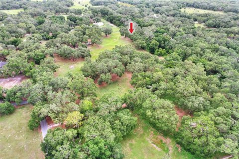 Terrain à vendre à Bushnell, Floride № 1774628 - photo 7