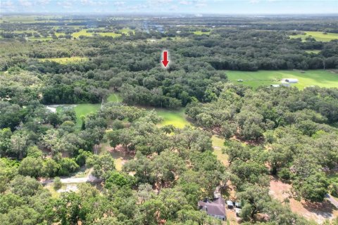 Terrain à vendre à Bushnell, Floride № 1774628 - photo 5