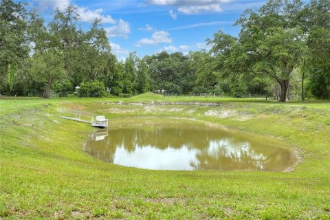 Terrain à vendre à Bushnell, Floride № 1774628 - photo 18