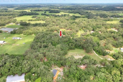 Land in Bushnell, Florida № 1774628 - photo 11