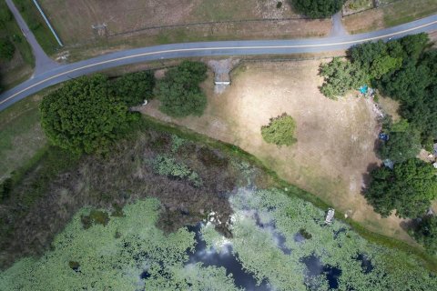 Land in Yalaha, Florida № 1915299 - photo 3