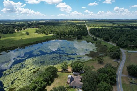 Land in Yalaha, Florida № 1915299 - photo 4
