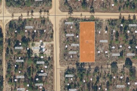 Land in Interlachen, Florida № 2160879 - photo 7