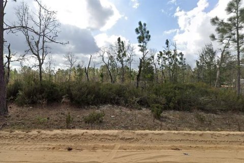 Land in Interlachen, Florida № 2160879 - photo 3