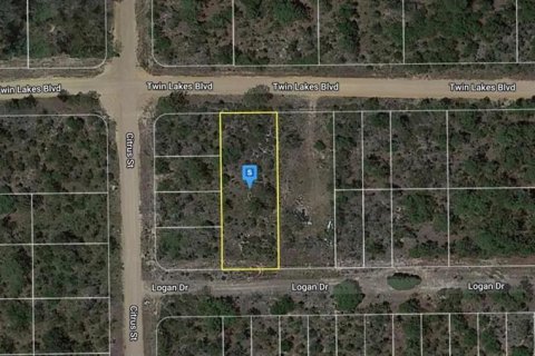 Land in Interlachen, Florida № 2160879