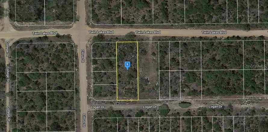 Land in Interlachen, Florida № 2160879