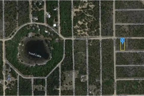 Land in Interlachen, Florida № 2160879 - photo 8
