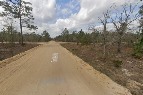 Land in Interlachen, Florida № 2160879 - photo 4