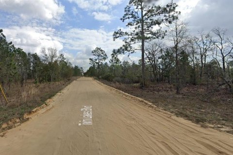 Land in Interlachen, Florida № 2160879 - photo 2