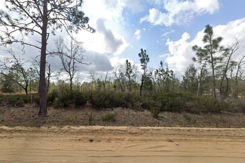 Land in Interlachen, Florida № 2160879 - photo 6