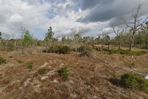 Land in Interlachen, Florida № 2160879 - photo 5