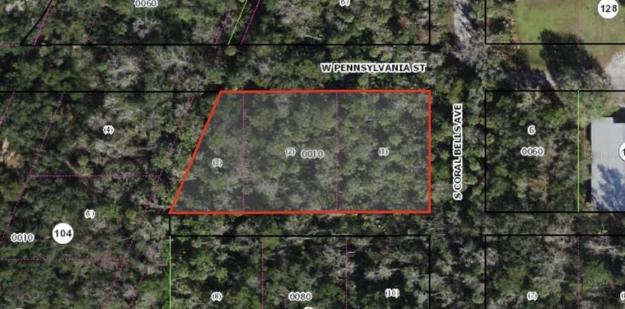 Terrain à Homosassa, Floride № 1797155