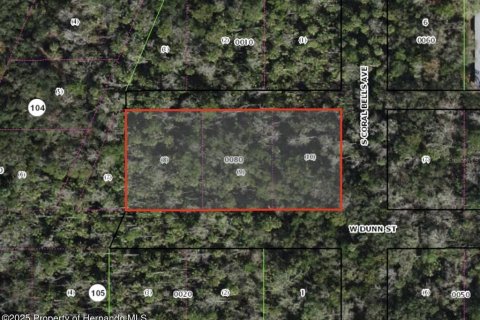 Terrain à vendre à Homosassa, Floride № 1797155 - photo 2