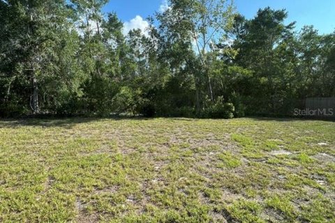 Villa ou maison à louer à Spring Hill, Floride: 3 chambres, 155.43 m2 № 2094293 - photo 15