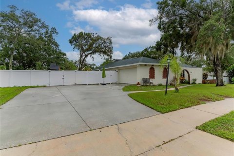 House in Dunedin, Florida 3 bedrooms, 212.93 sq.m. № 1817360 - photo 3