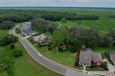 Land in Gainesville, Florida № 1901798 - photo 13