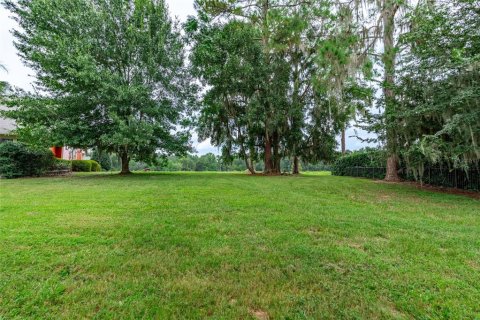 Land in Gainesville, Florida № 1901798 - photo 7