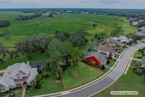 Land in Gainesville, Florida № 1901798 - photo 15