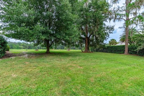 Land in Gainesville, Florida № 1901798 - photo 6
