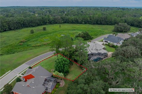 Land in Gainesville, Florida № 1901798 - photo 11