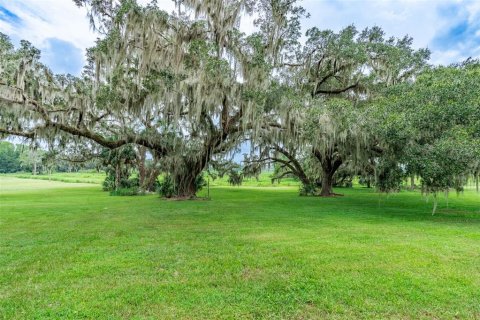 Land in Gainesville, Florida № 1901798 - photo 8