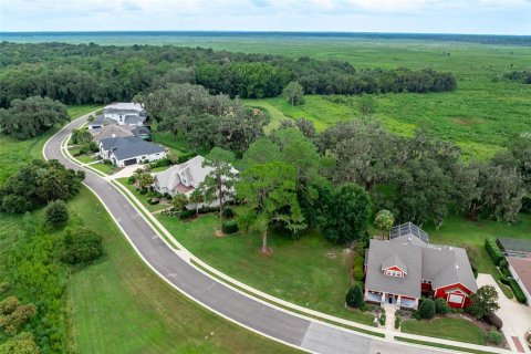 Land in Gainesville, Florida № 1901798 - photo 14