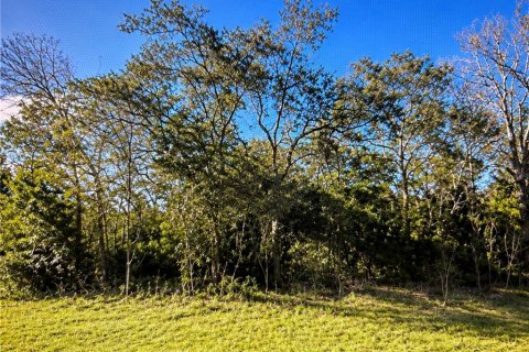 Land in Ocala, Florida № 2166693