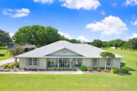 Villa ou maison à vendre à Dover, Floride: 4 chambres, 241.45 m2 № 2321546 - photo 11