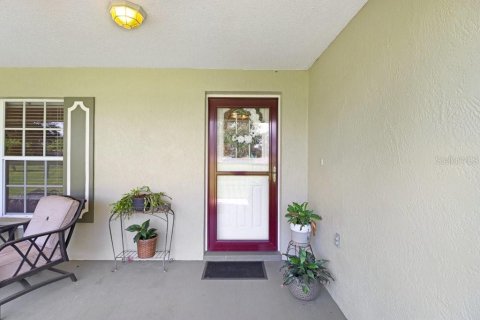 Villa ou maison à vendre à Dover, Floride: 4 chambres, 241.45 m2 № 2321546 - photo 19