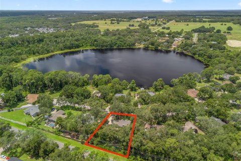 House in Fruitland Park, Florida 3 bedrooms, 235.6 sq.m. № 1854038 - photo 2