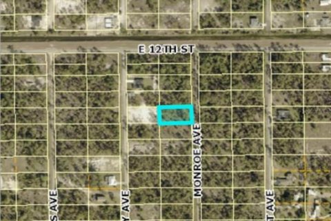 Land in Lehigh Acres, Florida № 2161122 - photo 2