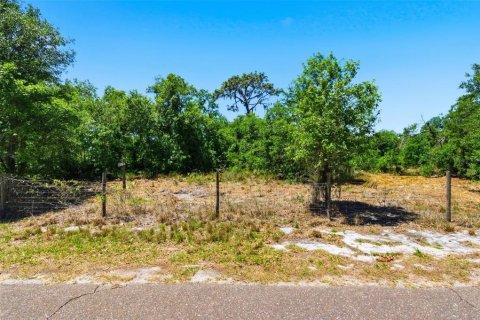 Terrain à vendre à Fish Hawk, Floride № 2217557 - photo 9