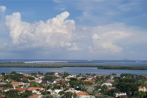 Condo in Saint Petersburg, Florida, 1 bedroom  № 1767181 - photo 23