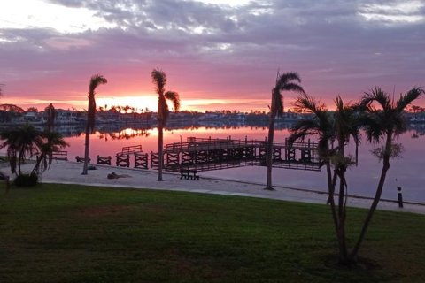 Condo in Saint Petersburg, Florida, 1 bedroom  № 1767181 - photo 18