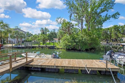 Condo in Crystal River, Florida, 2 bedrooms  № 2379145 - photo 27
