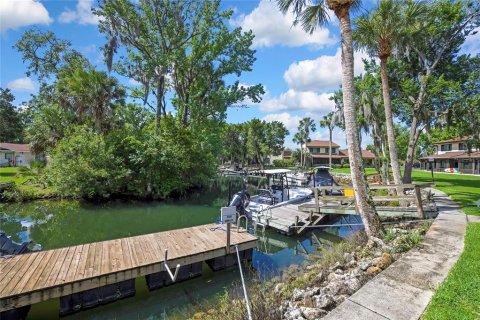 Condo in Crystal River, Florida, 2 bedrooms  № 2379145 - photo 28