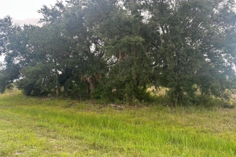 Commercial property in Okeechobee, Florida № 2177069 - photo 2
